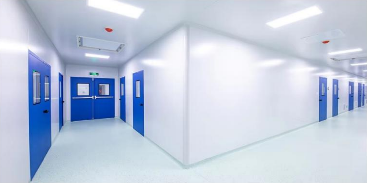 Cleanroom Wall Systems